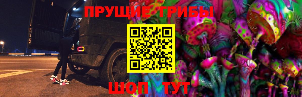 Минусинск  Псилоцибиновые грибы Psilocybine cubensis  дарнет шоп  Вход с VPN 